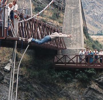 Bungy-2.jpg