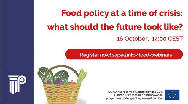 food_policy_webinar_20201016_small.jpg