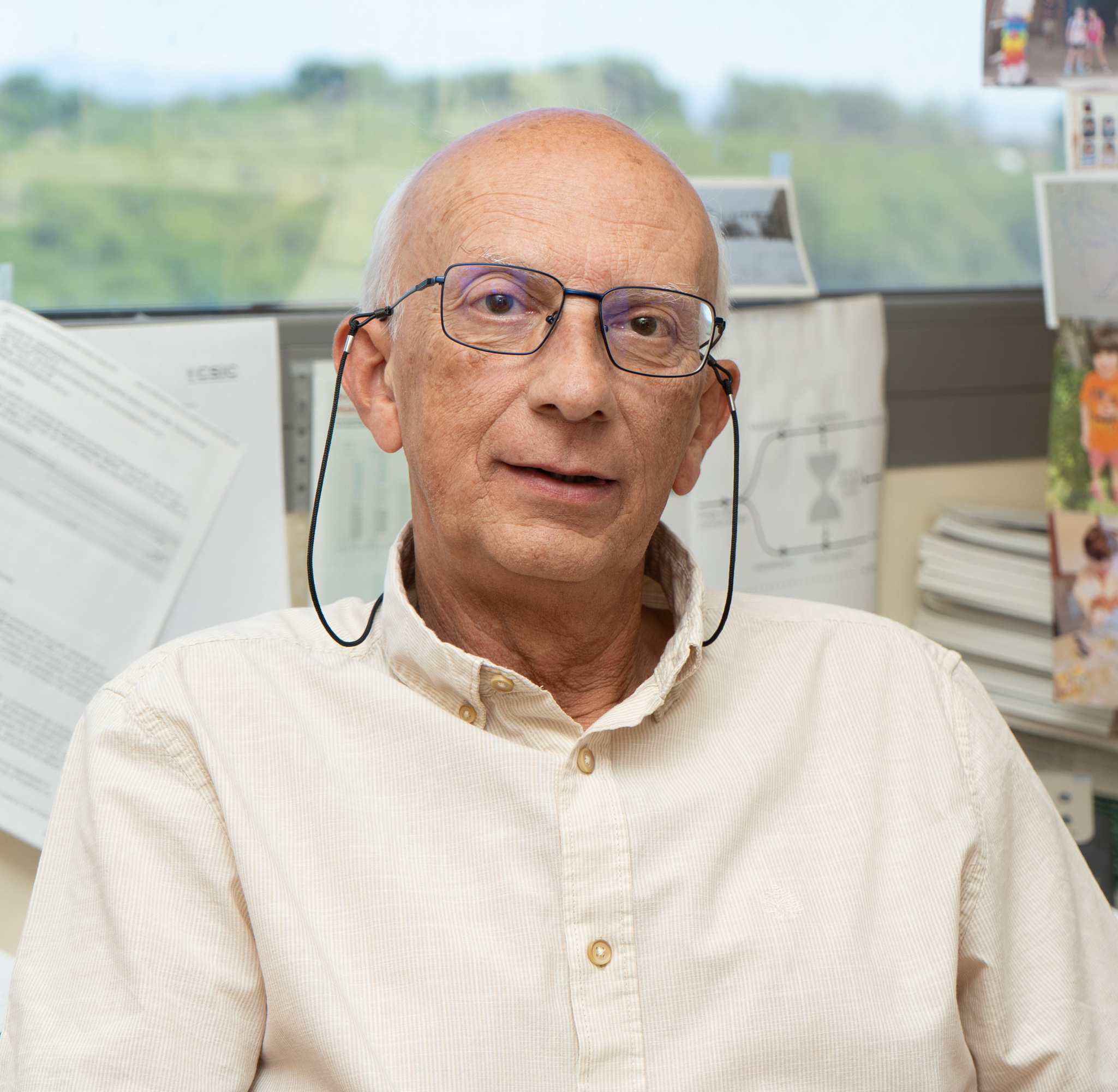 Professor Crisanto Gutiérrez MAE Professor Crisanto Gutiérrez MAE
