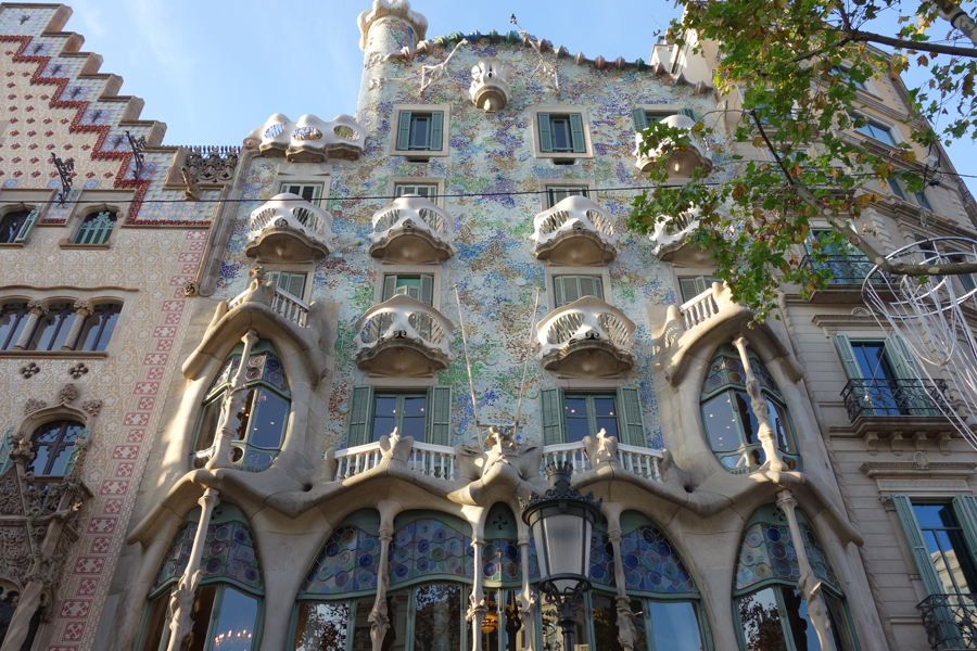 DSC02191_small.jpg DSC02191_small.jpg