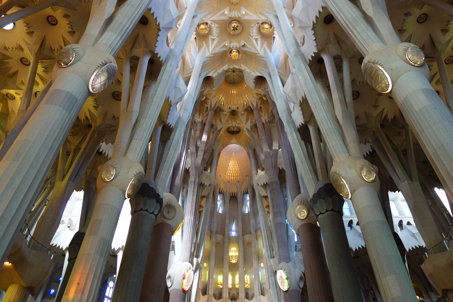 DSC02244_small.jpg DSC02244_small.jpg