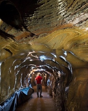 cardona_01.jpg cardona_01.jpg