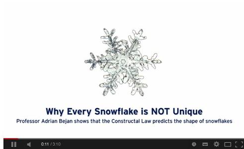 Why Every Snowflake is NOT Unique