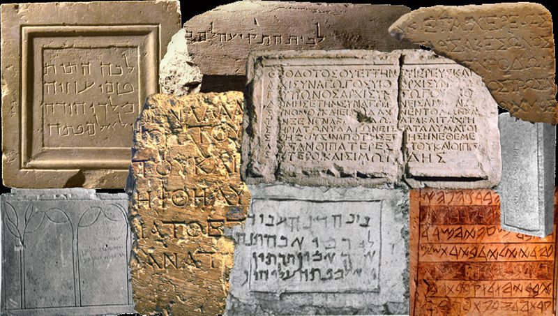 Hannah Cotton Hannah Cotton