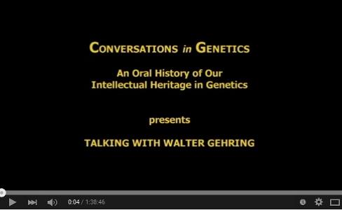 Convernations in Genetics