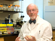 Hans Kornberg Hans Kornberg