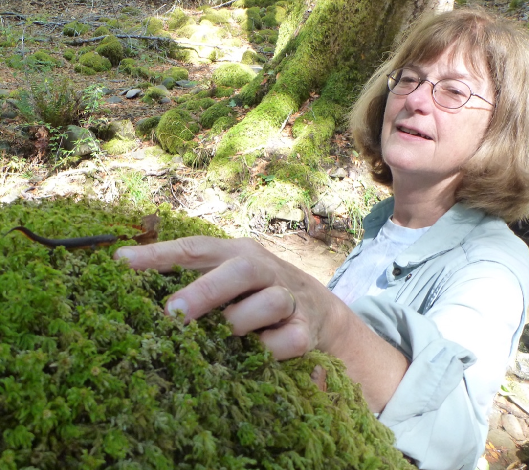 Mary Power Mary Power